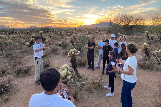 Sonoran Desert Jeep Tour at Sunset - Guide Experience