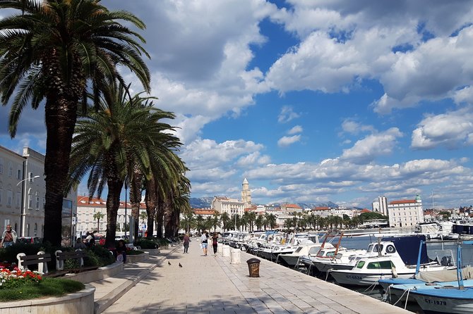 Split & Diocletian Palace Private History Lovers Walking Tour (Mar ) - Pricing Details