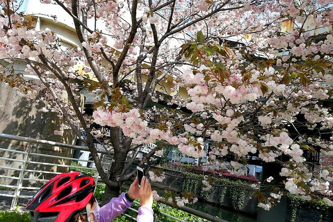 Tokyo Cherry Blossoms Blooming Spots E-Bike 3 Hour Tour - Common questions
