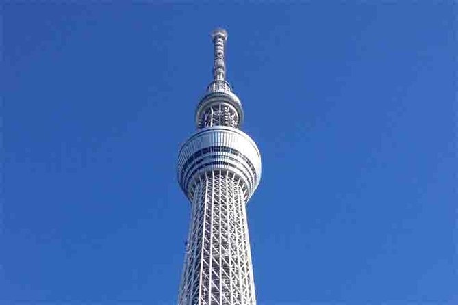 Tokyo City Private Tour by Subway - Guides and Transportation
