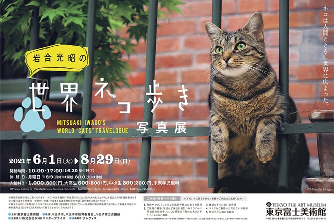 Tokyo Fuji Art Museum Admission Ticket Special Exhibition (When Being Held) - Inclusions and Exclusives