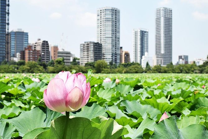 Tokyo Japanese Garden Lovers Private Tour With Government-Licensed Guide - Meeting and Pickup