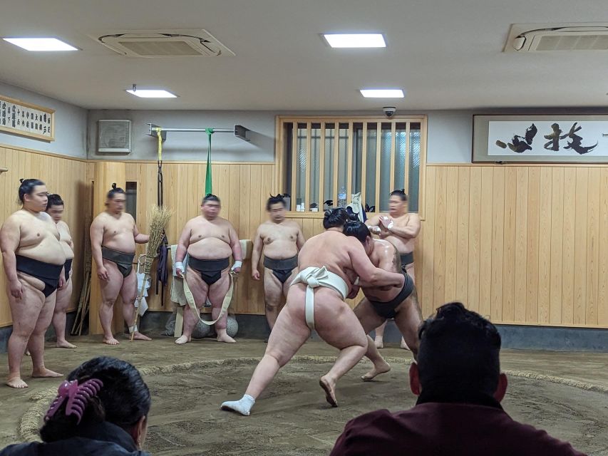 Tokyo: Morning Sumo Practice Viewing - Reservation Information