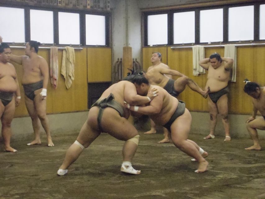 Tokyo: Sumo Morning Practice Viewing Tour - Ratings and Reviews