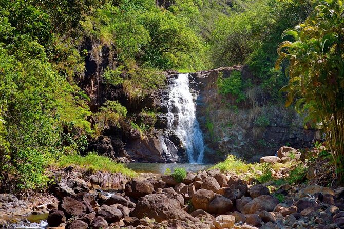 Tour of North Shore & Waimea Waterfall - Tour Expectations