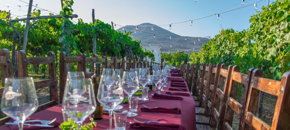 Tour to Pompeii, Wine Tasting at the Cellars From Positano - Culinary Experience