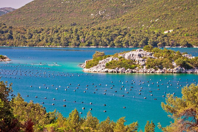 Transfer From Dubrovnik to Split With 2 Hours Stop in Ston Town - Stop in Ston Town