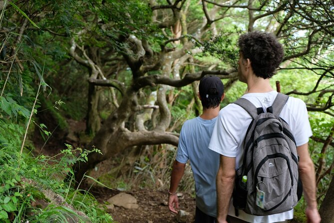 Traverse Outer Rim of Hakone Caldera and Enjoy Onsen Hiking Tour - Practical Information