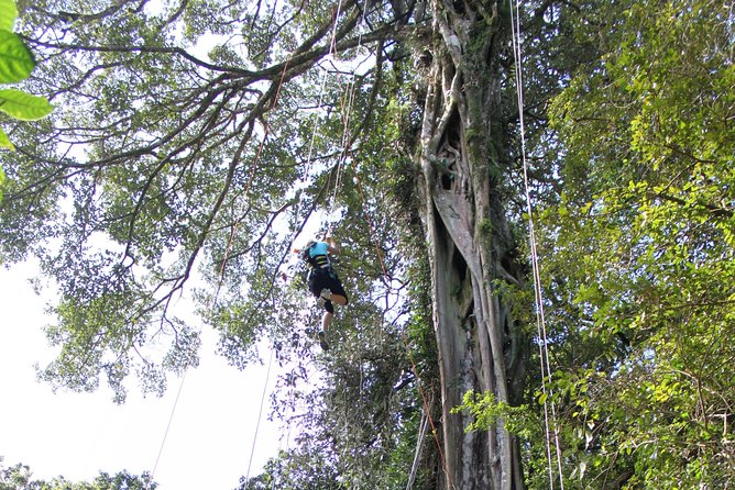 Tree Top Climbing Monteverde - Visitor Information