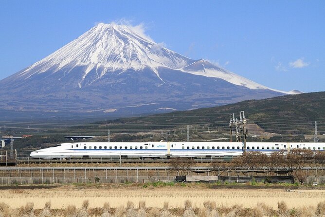 Virtual Tour to Discover Mount Fuji - Tour Itinerary Highlights