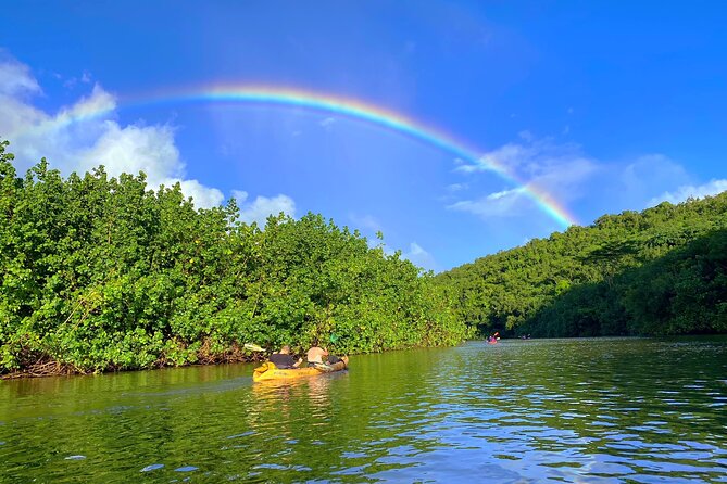 Wailua River and Secret Falls Kayak and Hiking Tour on Kauai - Additional Information