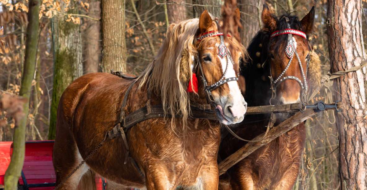 Zakopane: Horse-Drawn Rides With Local Guide & Food Tasting - Scenic Highlights & Local Food