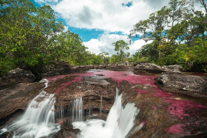4-Day Trip to Caño Cristales (the River of Many Colors) and the Jungle (Mar ) - Just The Basics