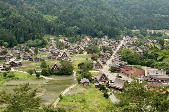 1-Day Takayama Tour: Explore Scenic Takayama and Shirakawago - Customer Feedback and Recommendations