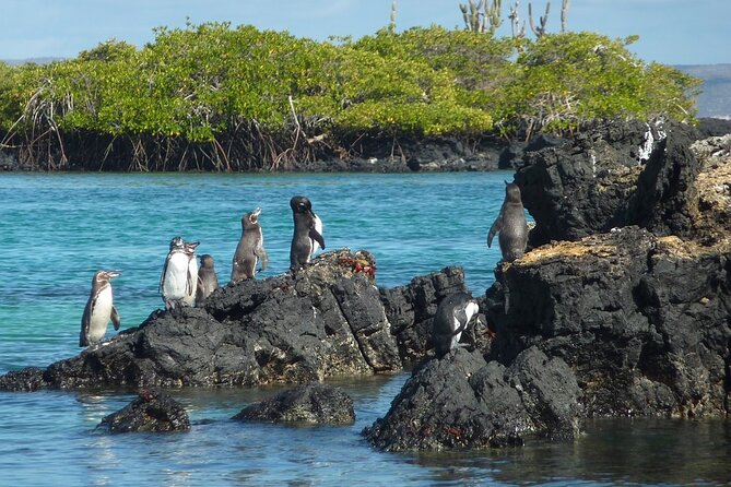 10 Days Galapagos Island Hopping: Santa Cruz & Isabela Island - Inclusions and Exclusions