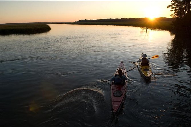 2-Hour Hilton Head Guided Kayak Nature Tour - Reviews and Feedback