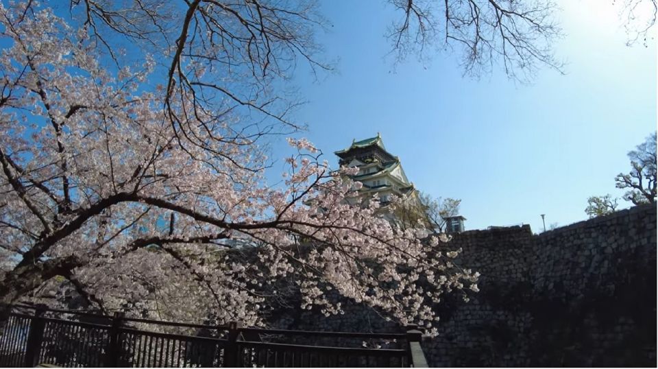 4 Hours Osaka Half-Day Drive Cruising City Tour. (1 Pax Up) - Pricing and Booking Details