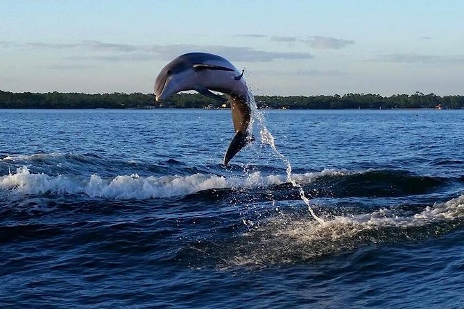 Alabama Gulf Coast Dolphin Cruise - Inclusions Provided