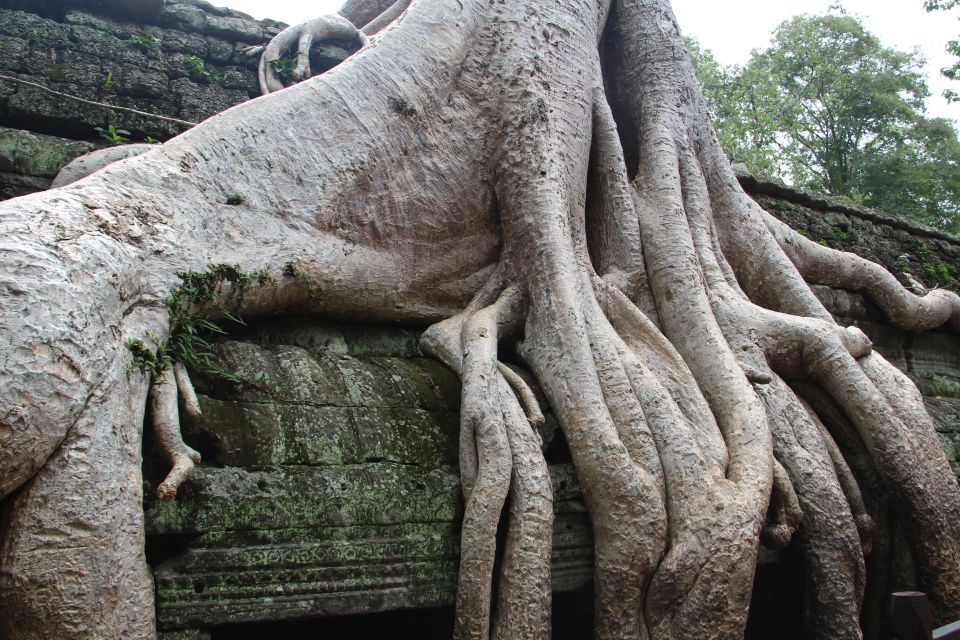 Angkor Wat Full-Day Private Tour With Sunset - Tour Inclusions