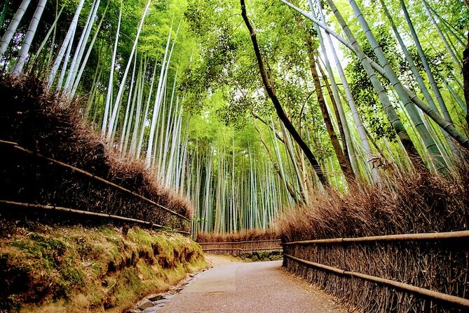 Arashiyama Walking Tour - Bamboo Forest, Monkey Park & Secrets - Tour Highlights and Features