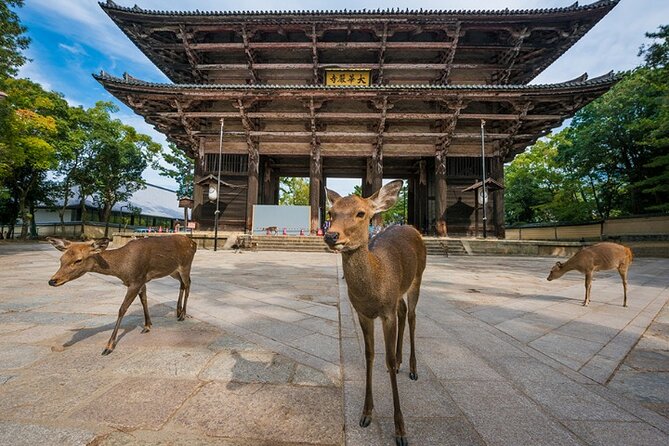 Arashiyama & Yasaka Shrine & Nara & Todaiji Day Trip From Osaka - Todaiji Temple Experience