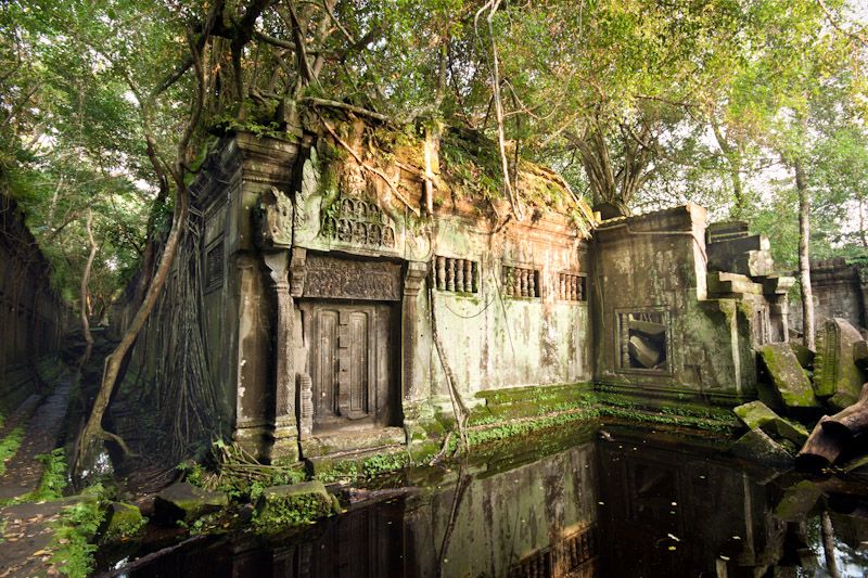 Beng Mealea Temple & Kampong Khleang Day Trip - Customer Reviews