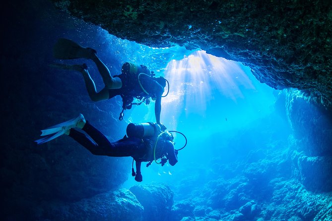 Blue Cave Experience Diving [Charter System / Boat Holding] I Am Very Satisfied With the Beautiful - Additional Information and Resources