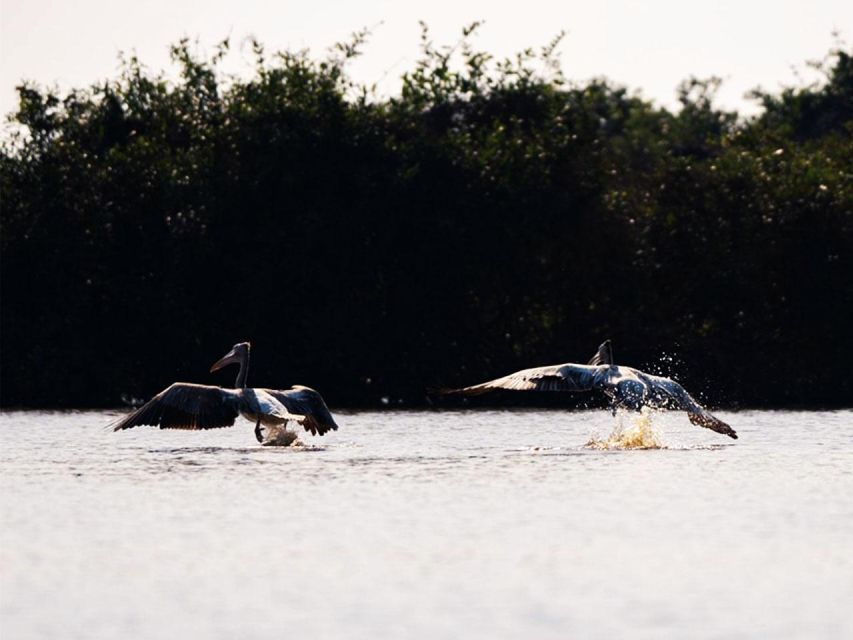 Boeng Peariang Bird Sanctuary in Siem Reap - Starting Point and Return Details