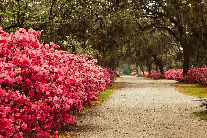 Bonaventure Cemetery Tours - Customer Recommendations