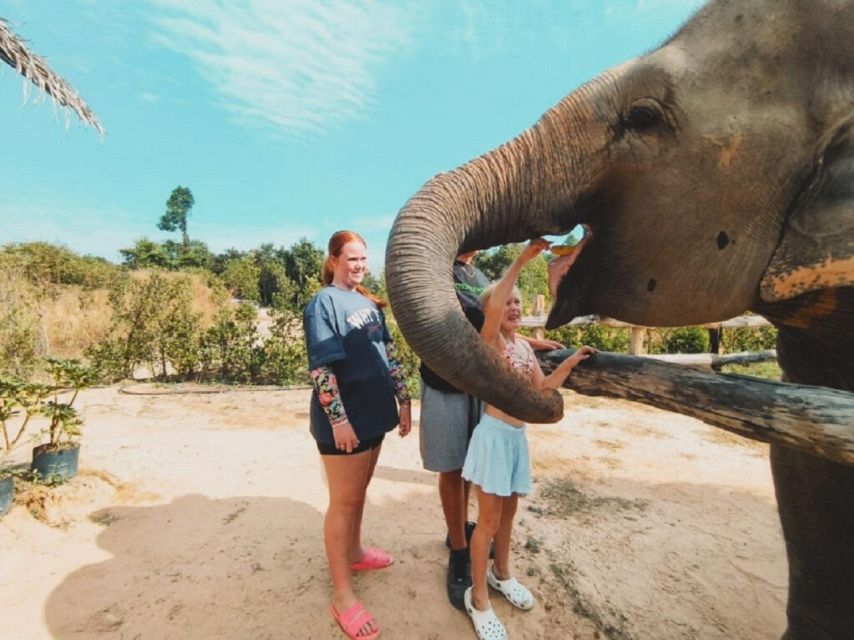 Cambodia Elephant Sanctuary and Banteay Srey Temple Tour - Additional Tour Information