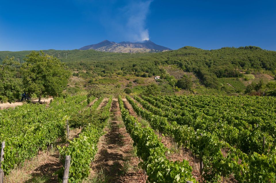 Catania, Taormina, Messina: 3 Etna Wineries Tour & Tasting - Common questions
