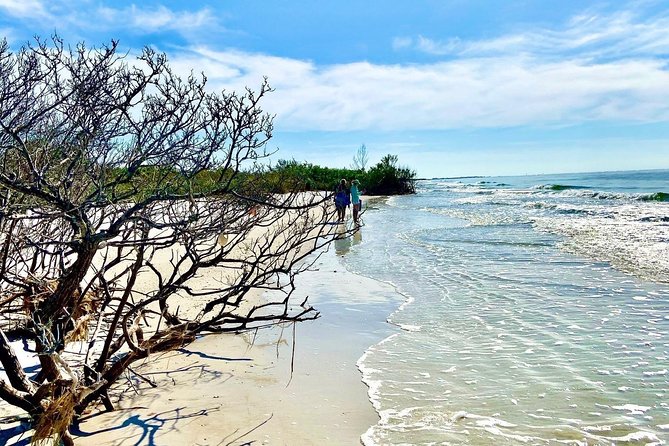 Clear Kayak Tour of Shell Key Preserve and Tampa Bay Area - Booking Information and Viator Details