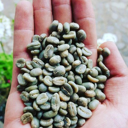 Colombian Coffee Farm Private Half-Day Tour From Medellin  - Medellín - Additional Information