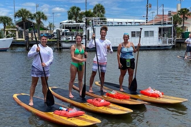 Dolphin and Manatee Stand Up Paddleboard Tour in Daytona Beach - Accessibility Information