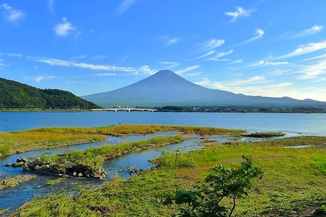 Experience the Stunning Nature of Mt.Fuji - Private Tour - Tour Inclusions