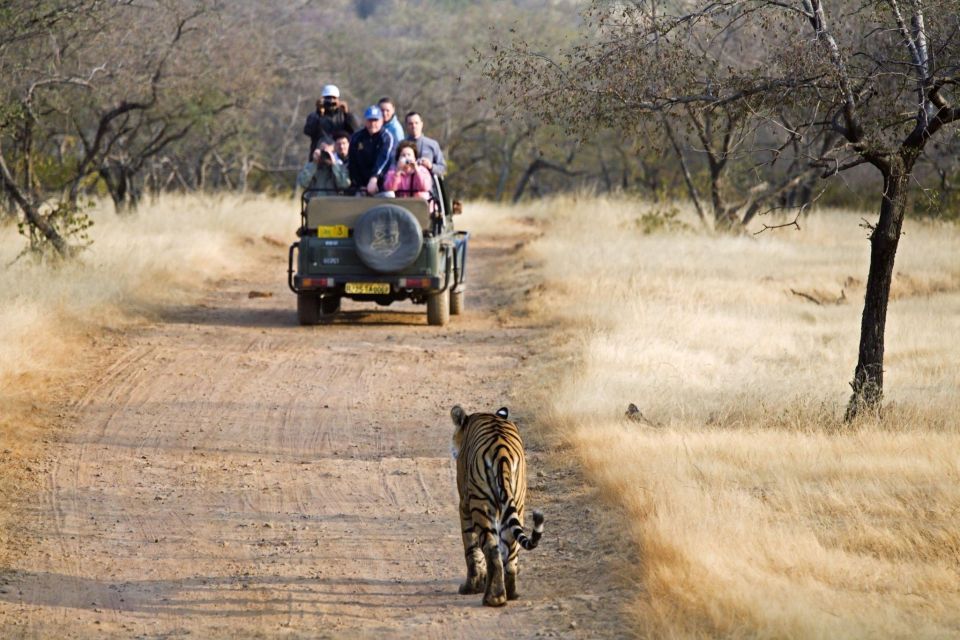 From Delhi : 6 Days Delhi, Jaipur, Agra & Ranthambore By Car - Detailed Itinerary