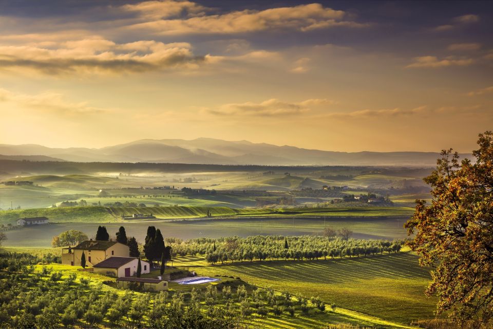 From Florence: Private Half-Day Chianti Tour & Wine Tasting - Wine Tasting & Culinary Experience