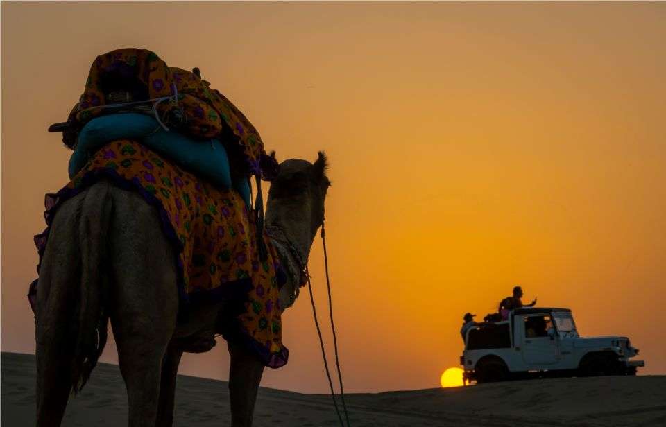 From Jodhpur : 2 Day Jaisalmer Highlight Tour By Car - Inclusions and Provided Services