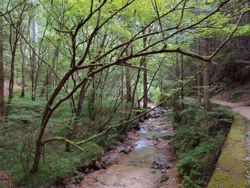 From Matsumoto/Nagano: Nakasendo Trail Walking Tour - Meeting Point and Directions