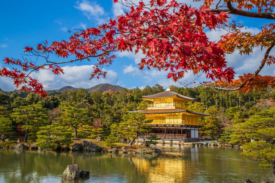 From Osaka/Kyoto: Kyoto & Nara Bus Tour W/ Kinkakuji Ticket - Shrine Visits and Lunch Options