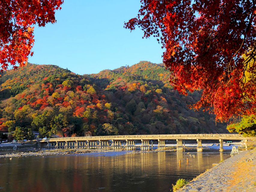 From Osaka: Kyoto Sightseeing Tour With Scenic Train Ride - Customer Reviews and Ratings