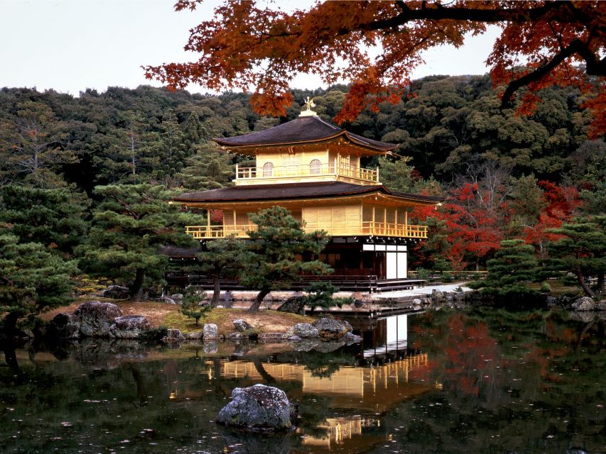 From Osaka: Kyoto Top Highlights Day Trip - Customer Reviews and Ratings