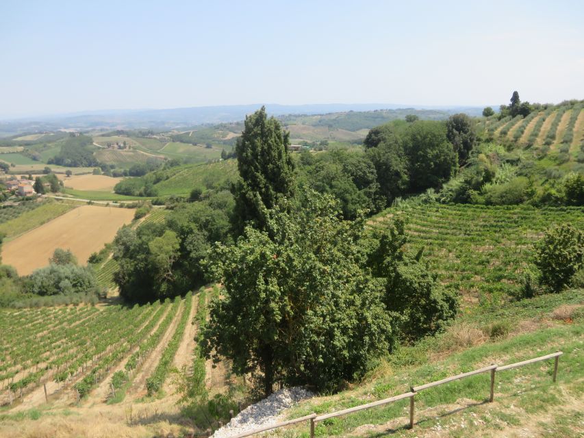 From Rome: Tuscany Wine Tour - Customer Review