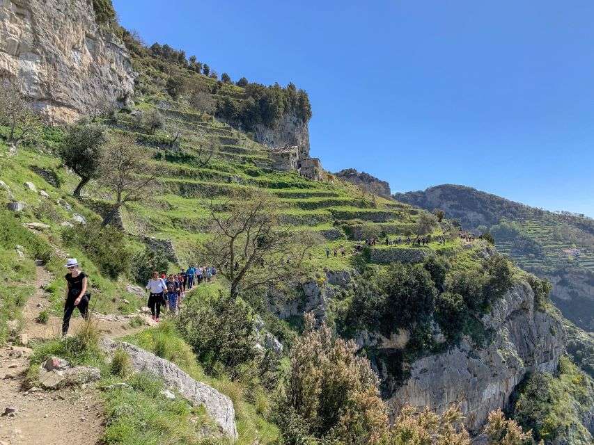 From Sorrento: Path of the Gods Hiking Experience - Preparation and Requirements