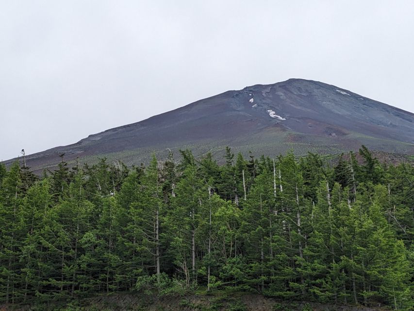 From Tokyo: Mt. Fuji & Hakone Tour W/ Return by Bullet Train - Activity Information and Ratings