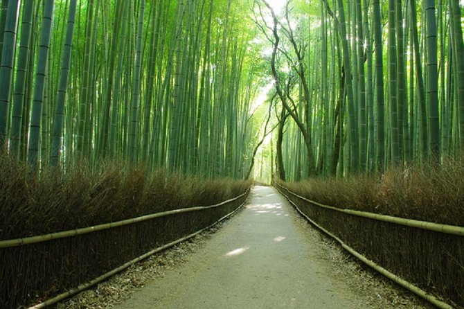 Full Day Excursion: Kyoto and Nara Highlights From Kyoto/Osaka - Feedback and Responses