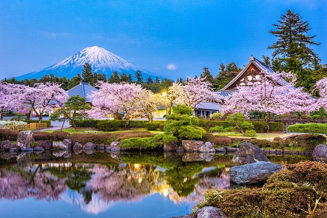 Full Day Private Fuji Tour With English Driver & Muslim Friendly - Cancellation Policy