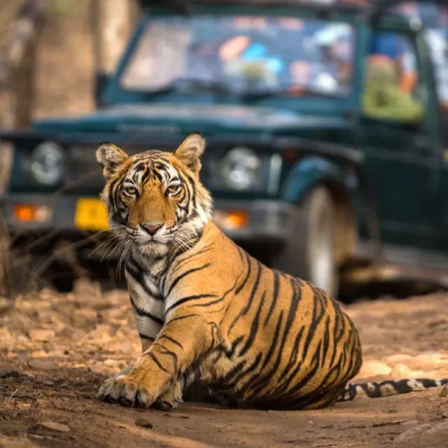 Golden Triangle Tour With Ranthambore Safari 6d/5n - Payment Options