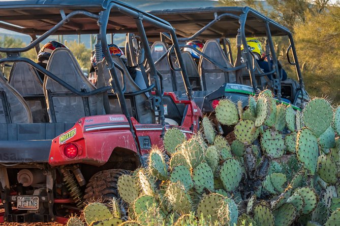 Guided Arizona Desert Tour by UTV - Customer Reviews and Recommendations