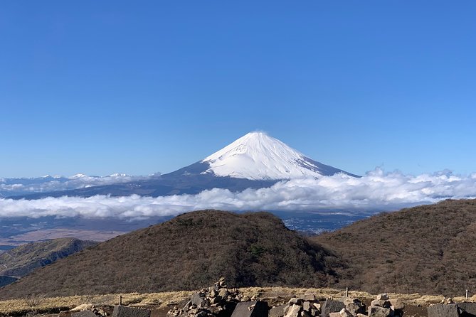 Hakone Private One Day Tour From Tokyo: Mt Fuji, Lake Ashi, Hakone National Park - Itinerary